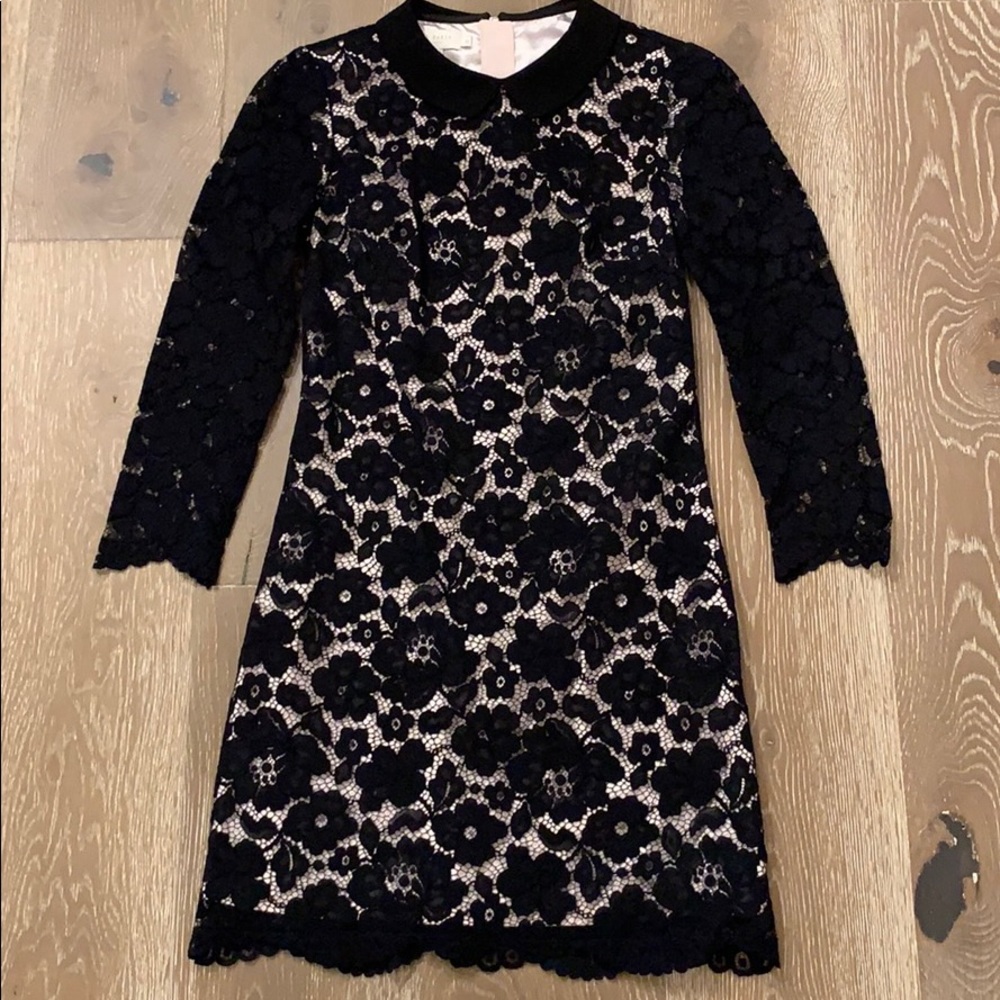 Ted Baker London lace dress with collar